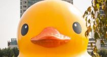 Ӱ   ʴ 