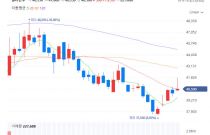 �Ǹ�����, 4�б� �������� 504��� ���� 