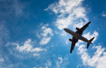 �����װ����ƽþƳ� ������ ���� ��ü�װ��� ����