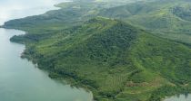 열대 우림 지키려면 ‘지구 보존 기본소득’ 주자